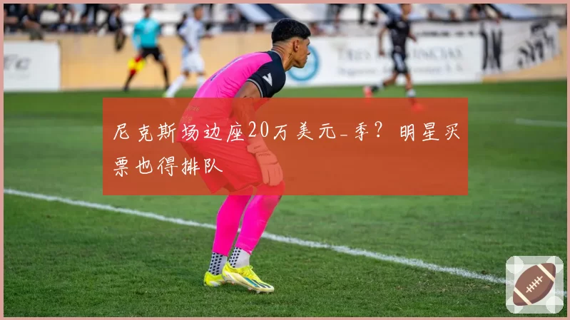 尼克斯场边座20万美元_季？明星买票也得排队