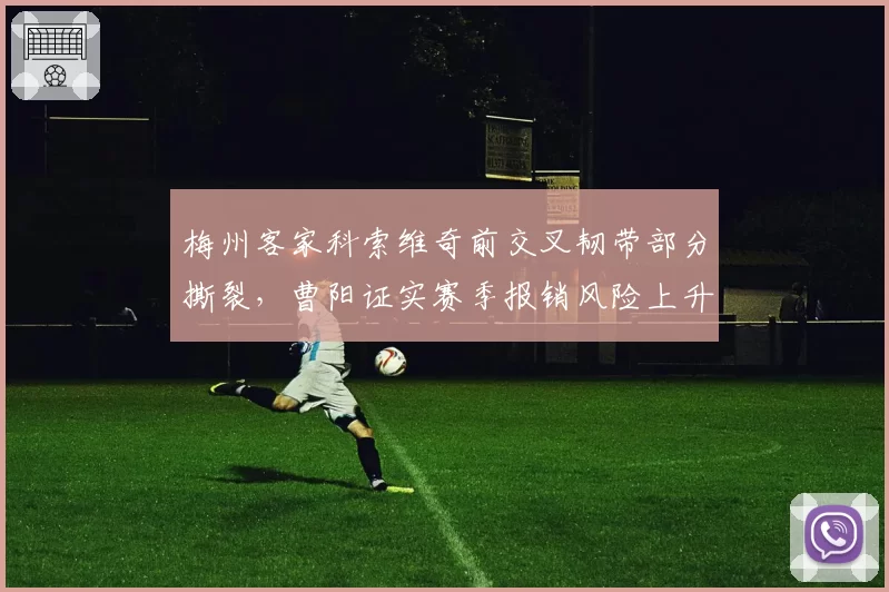 梅州客家科索维奇前交叉韧带部分撕裂,曹阳证实赛季报销风险上升