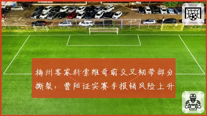 梅州客家科索维奇前交叉韧带部分撕裂,曹阳证实赛季报销风险上升