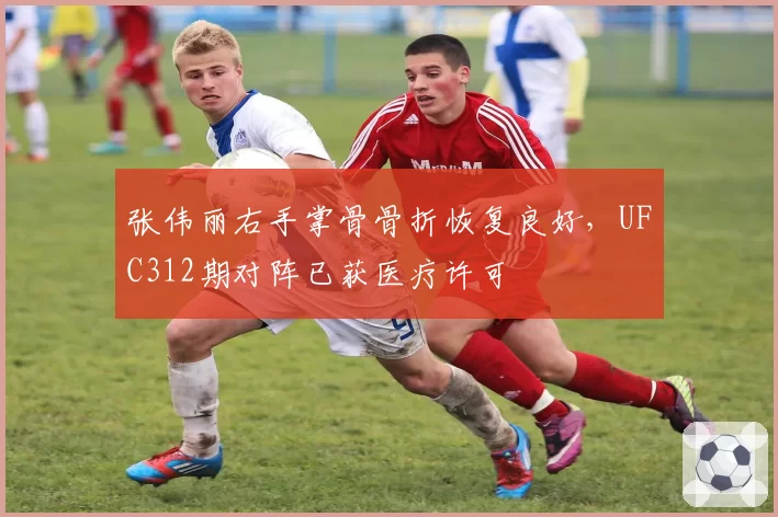 张伟丽右手掌骨骨折恢复良好,UFC312期对阵已获医疗许可