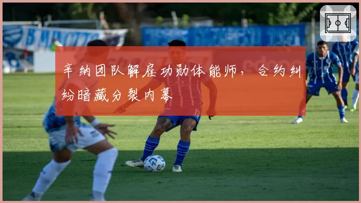 辛纳团队解雇功勋体能师,合约纠纷暗藏分裂内幕