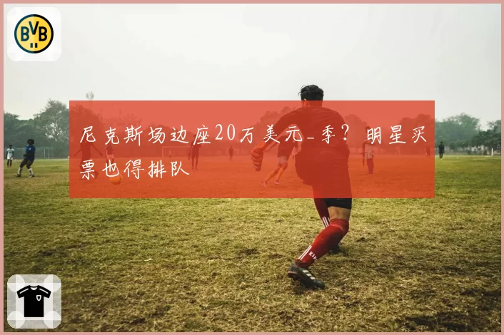 尼克斯场边座20万美元_季？明星买票也得排队